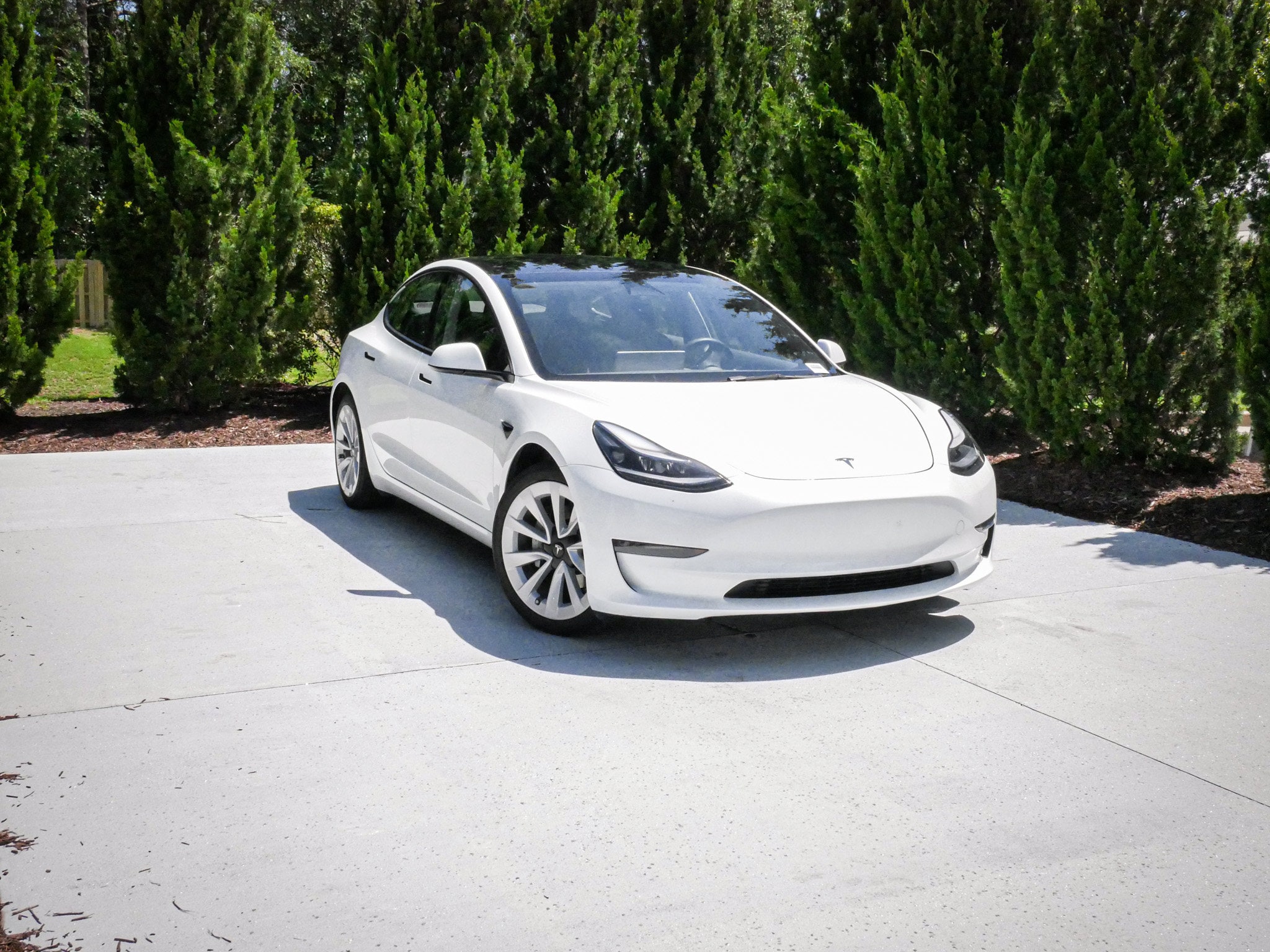 tesla model 3 2022 5YJ3E1EB2NF346655 image tesla model 3 2022 5YJ3E1EB2NF346655 image